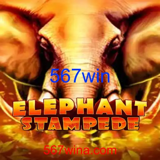 ElephantStampede